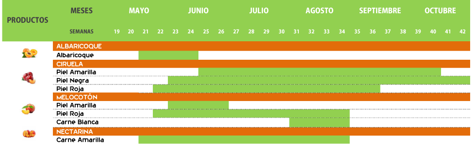 calendario-final